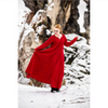 Anna Linen Viking Dress