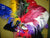 Ostrich Feathers - Black, Burgundy, Dark Blue, Gold, Green, Purple, Red, Renaissance Accessories - Hook-Sashes & Feathers, Silver, Turquoise, White-Medieval Shoppe
